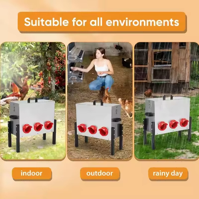 Automatic Chicken Feeder Box , 6 Feeding Ports, No Waste Poultry Feeder