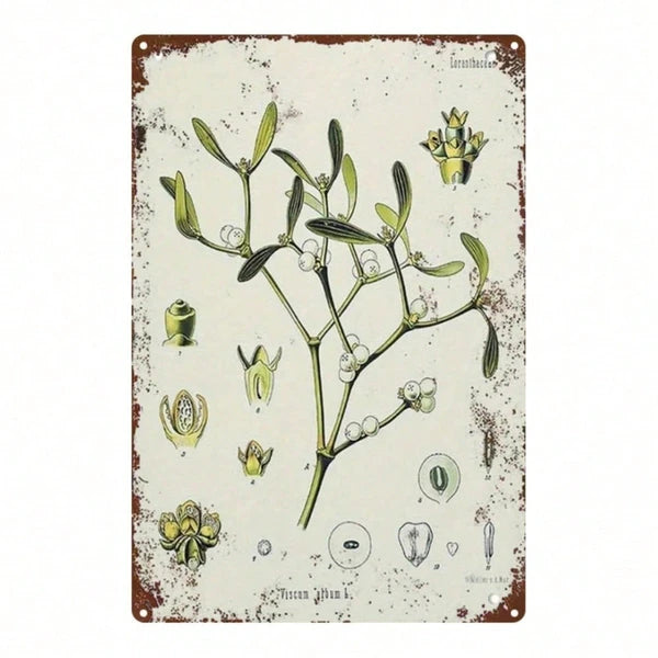 Mistletoe Plant Vintage Metal Tin Sign 2D Flat 1pc 8x12 Inch Classic