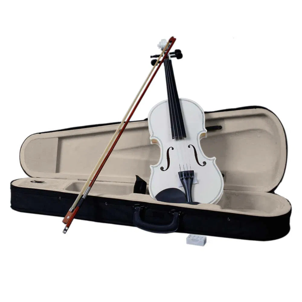 4/4 Acoustic Violin Case Bow Rosin Sky Blue