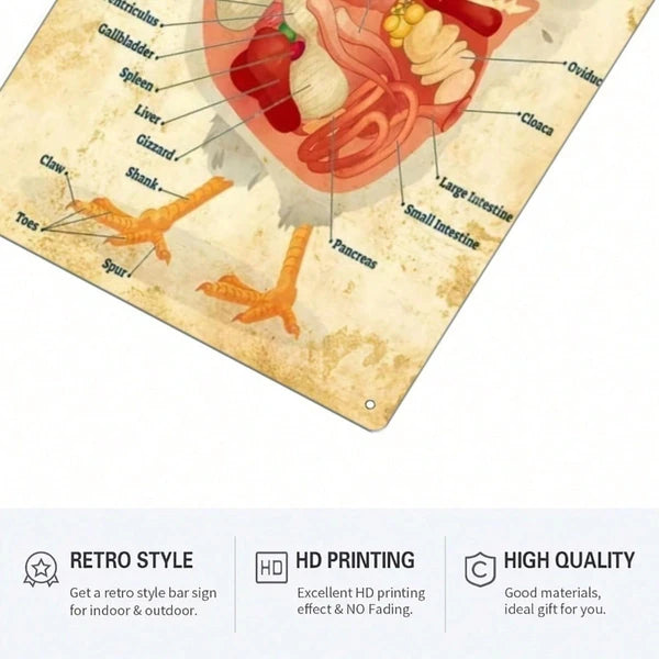 1pc Classic Chicken Anatomy Metal Tin Sign 8x12 Inch, Inch, Vintage