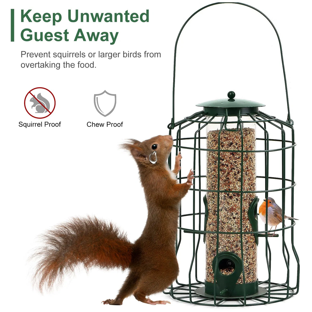 Wild Bird Feeder Gift For Bird Lovers, 4 Ports Multi-bird Simultaneous