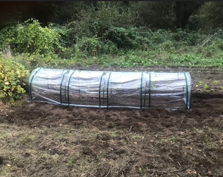 Portable Tunneled Greenhouse With 4 Zippered Doors, Water UV Fighting