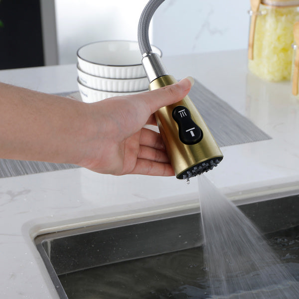 Kitchen Faucet With Pull-down Spray