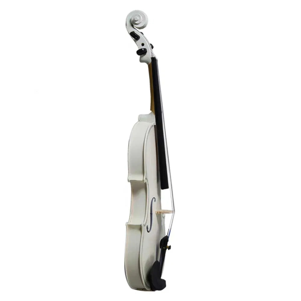 4/4 Acoustic Violin Case Bow Rosin Sky Blue