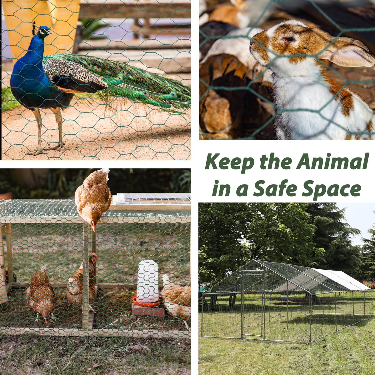Large Size Galvanized Hexagonal Floral Green Chicken Wire, Outdoor