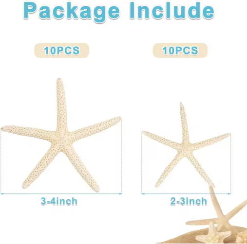 20 PCS 2-4 Inch 4-6 Inch Bulk Natural Real Starfish For DIY Crafts