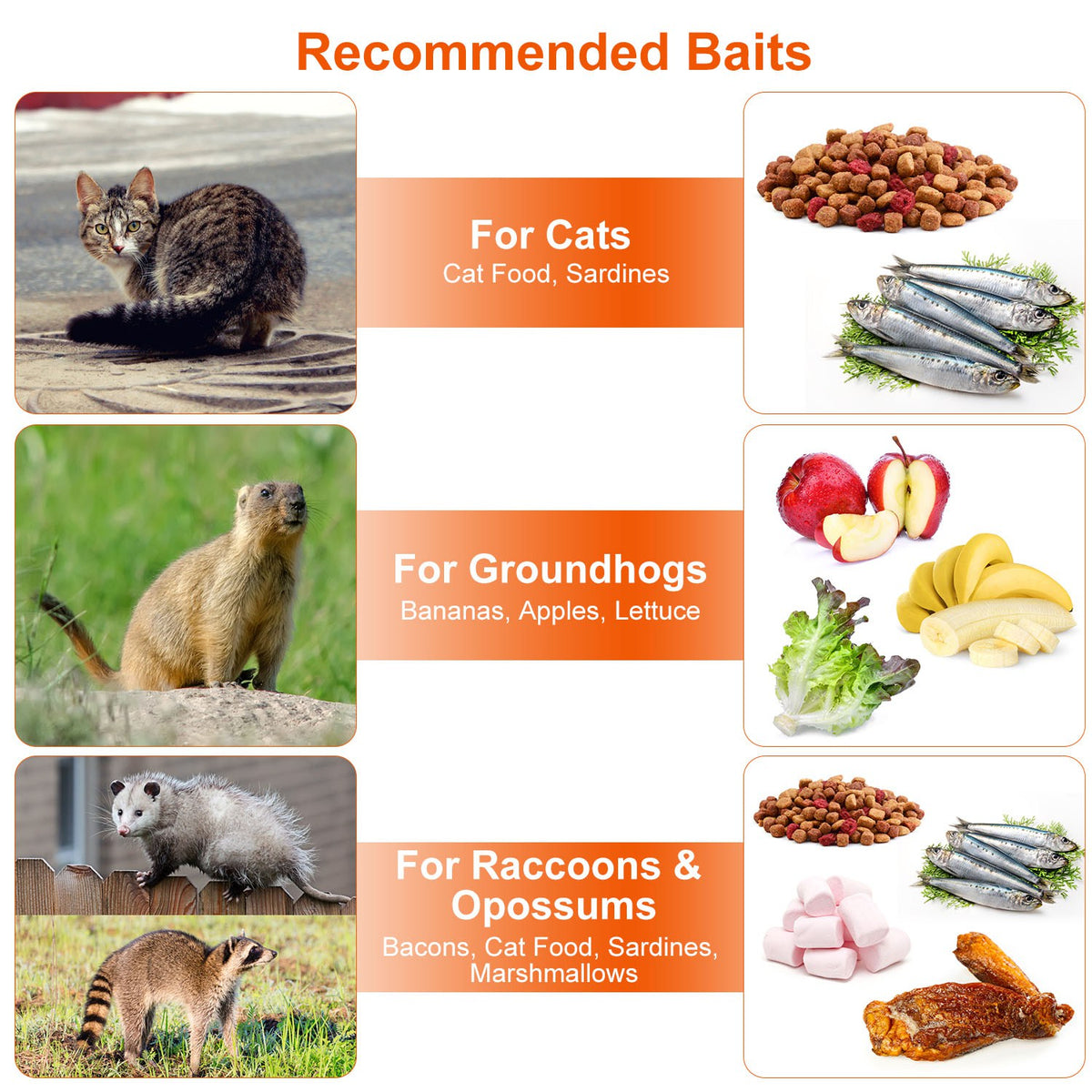 1Pc Humane Cat Trap Cage Catch Release Live Animal Rodent Cage