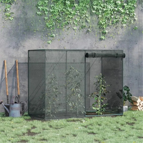 Walk-in Mini Greenhouse