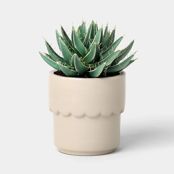 Ceramic Modern Outdoor Planter – Cream, 4"x3.875" For Plants