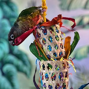 Adventure Series - Double Bamboo Basket Foraging Basket Bird Toy