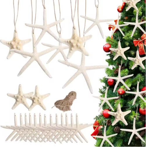15pcs 2.3-4.3 Inch Starfish Hanging Christmas Tree Ornaments Star Fish