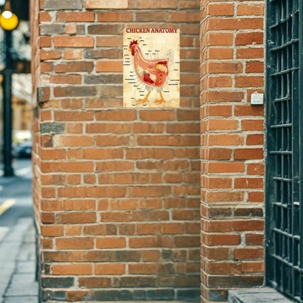 1pc Classic Chicken Anatomy Metal Tin Sign 8x12 Inch, Inch, Vintage