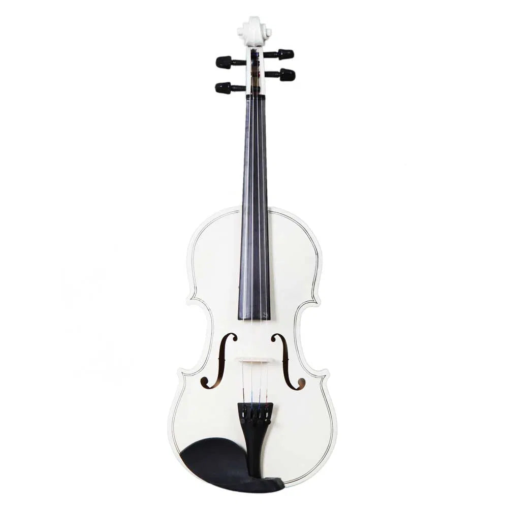 4/4 Acoustic Violin Case Bow Rosin Sky Blue