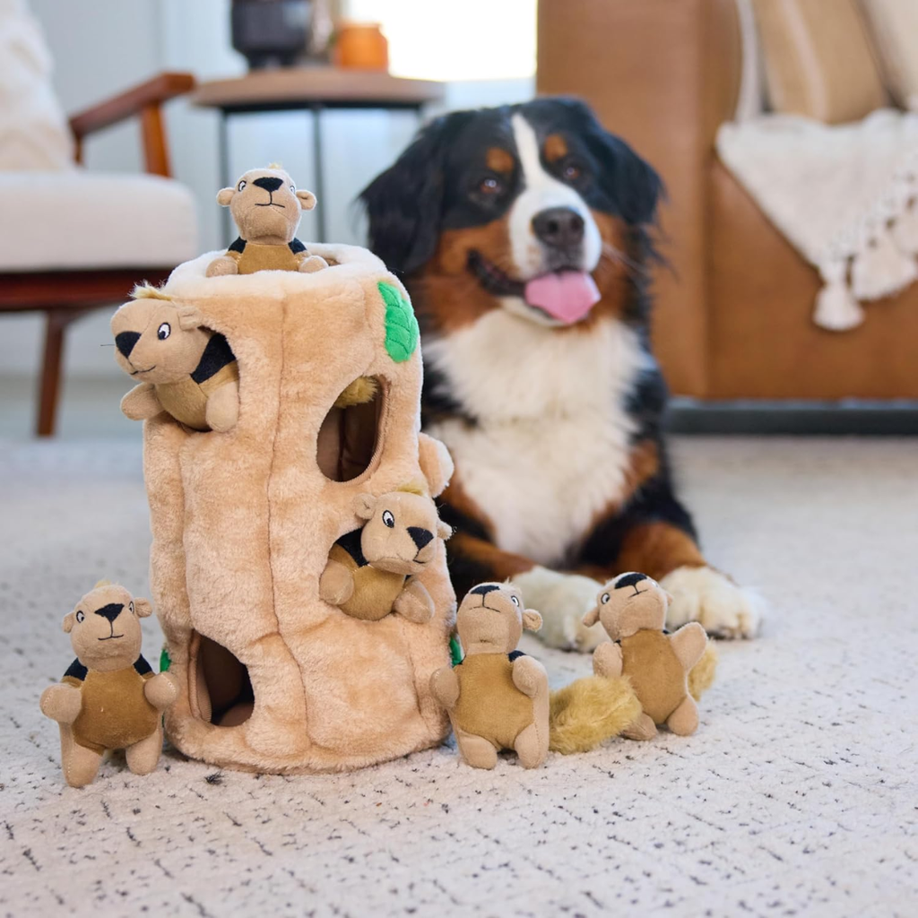 Squirrel Dog Toy Interactive 2in1 Plush Puzzle With 6 Squeaky Removable