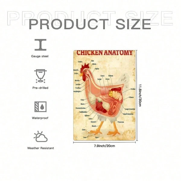 1pc Classic Chicken Anatomy Metal Tin Sign 8x12 Inch, Inch, Vintage