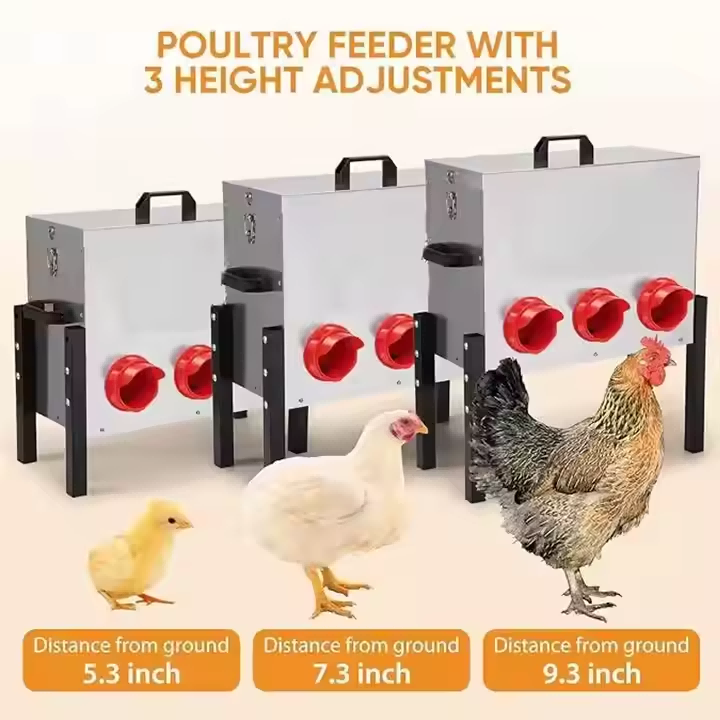 Automatic Chicken Feeder Box , 6 Feeding Ports, No Waste Poultry Feeder
