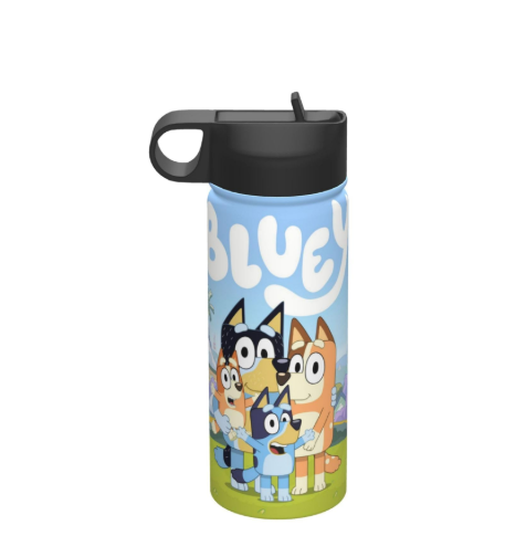 Water Bottle Vacuum Insulated Stainless Steel Thermos Bottle With Straw