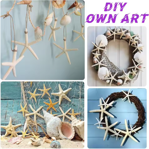 15pcs 2.3-4.3 Inch Starfish Hanging Christmas Tree Ornaments Star Fish