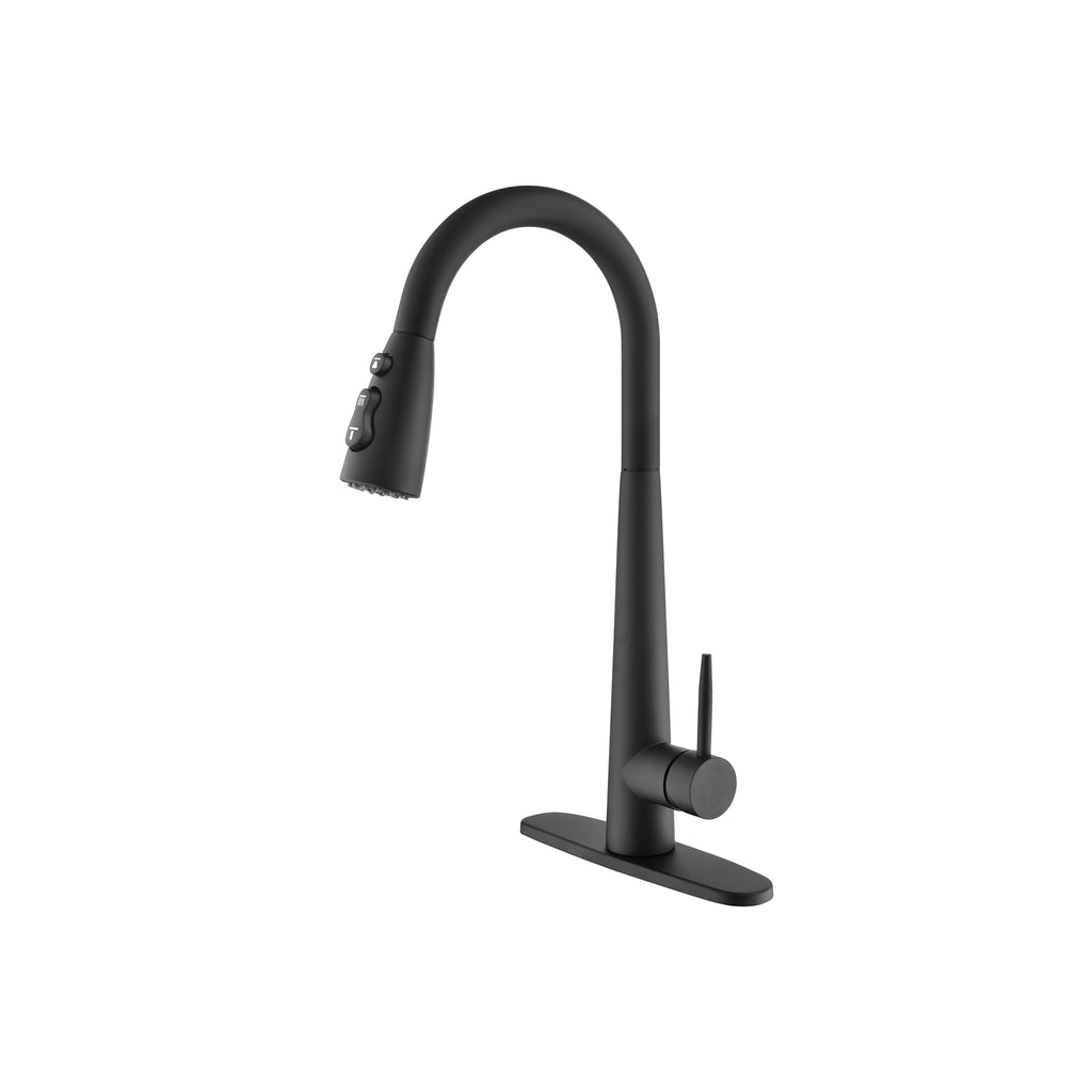 Kitchen Faucet With Pull-down Spray