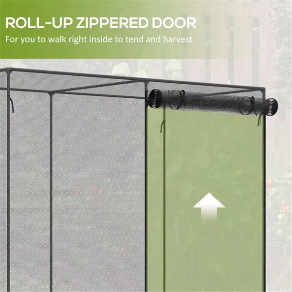 Walk-in Mini Greenhouse