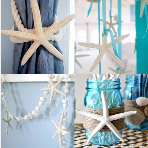 20 PCS 2-4 Inch 4-6 Inch Bulk Natural Real Starfish For DIY Crafts