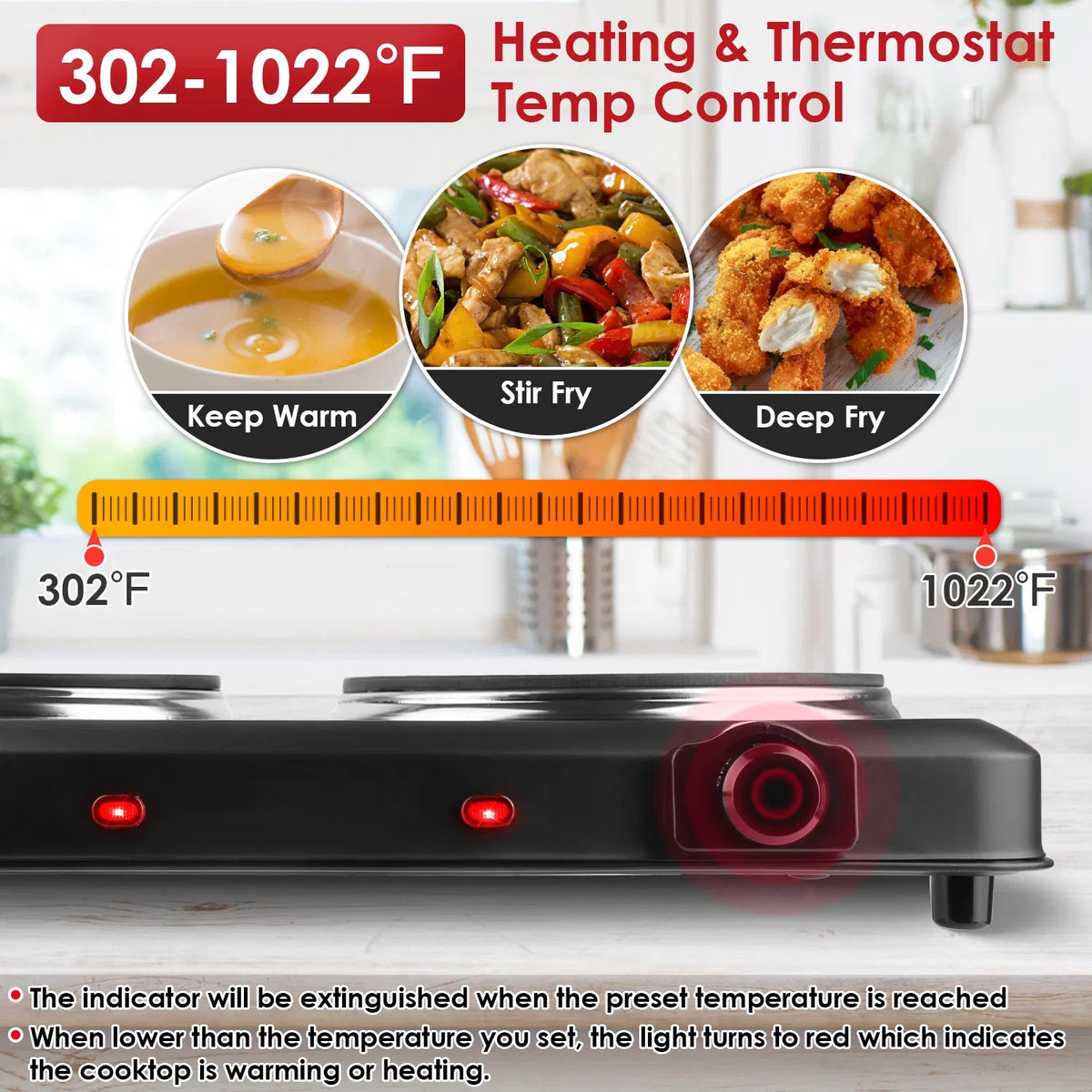 Infrared Dual Burner Plate - 1000W & 800W Glass Plates, Quick/even