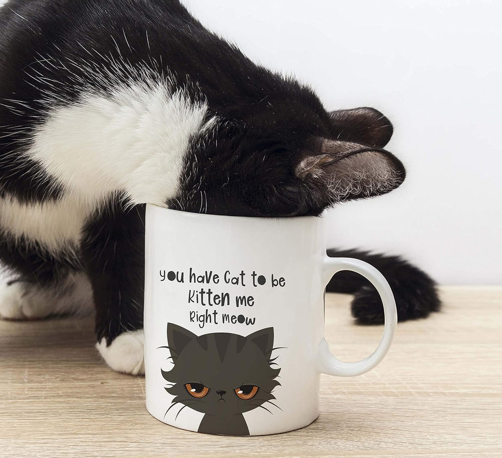 Funny Cat Mug - You Have Cat To Be Kitten Me Right Meow | Premium