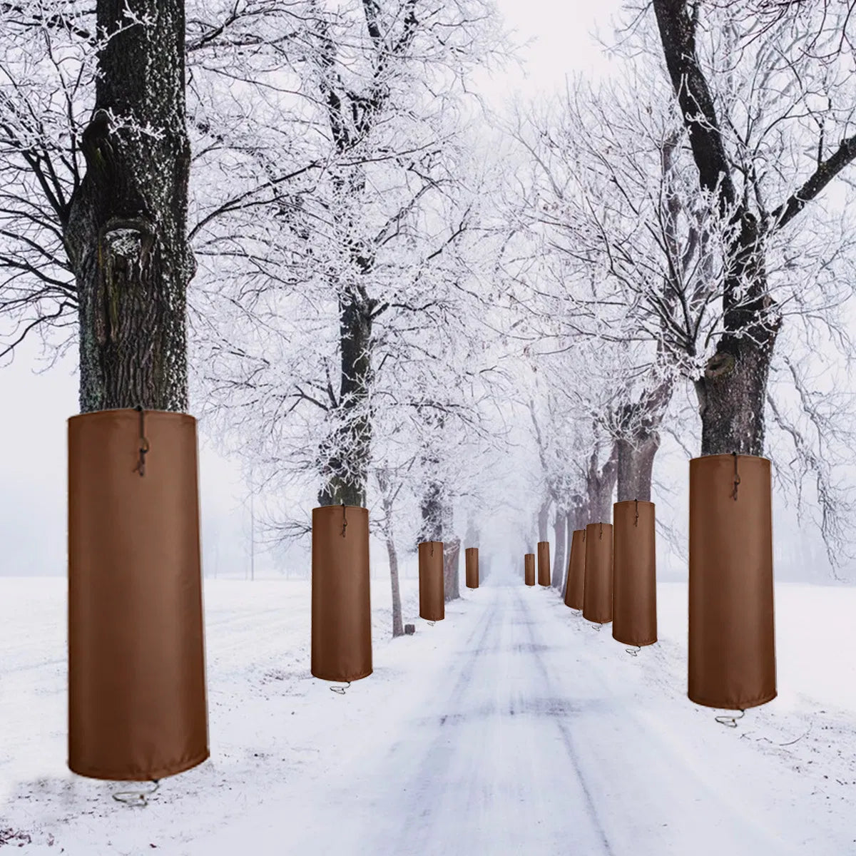 Palm Tree Root Protectors Winter Protection For Trees Root Self