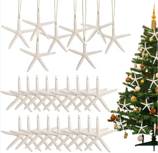 20 PCS Christmas Starfish Hanging Ornaments 3-4'' Natural Starfish
