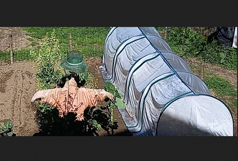 Portable Tunneled Greenhouse With 4 Zippered Doors, Water UV Fighting