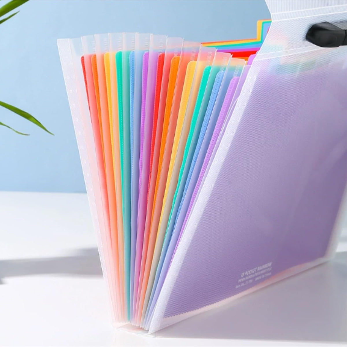 Large Capacity Accordion File Organizer 13 Pockets A4 Rainbow Expanding