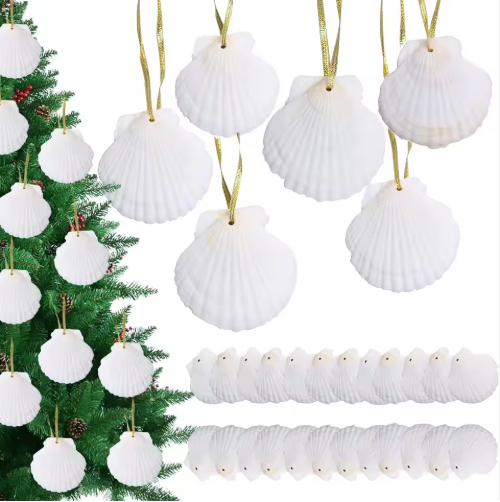 Seashells For Crafting Christmas Ornaments 24pcs 2-3 Inch Hanging Sea