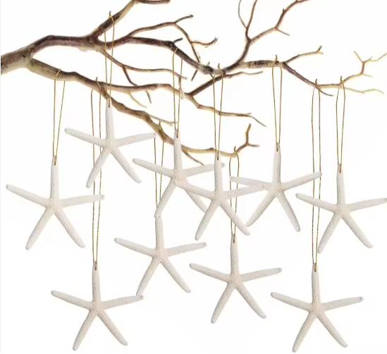 20 PCS Christmas Starfish Hanging Ornaments 3-4'' Natural Starfish