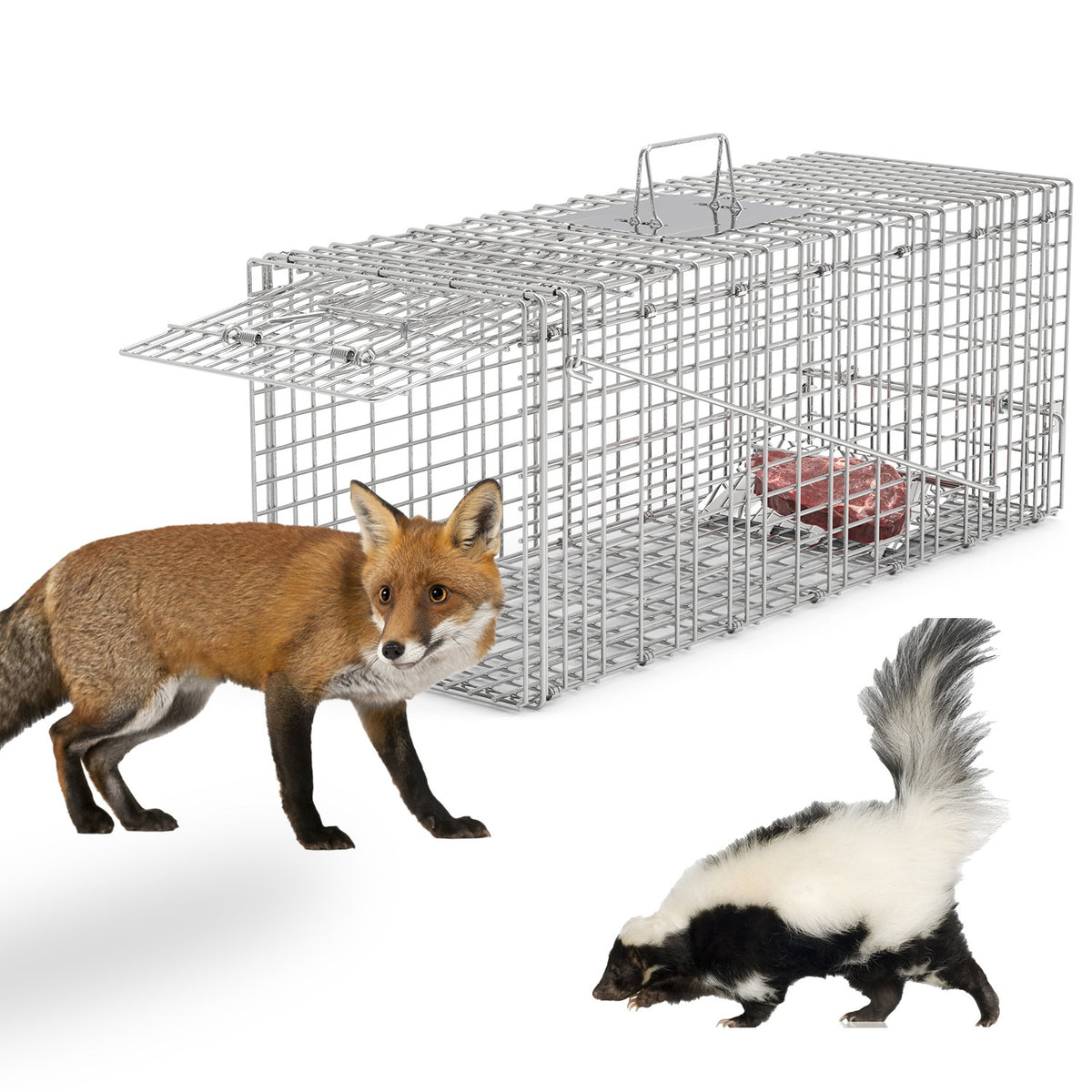 1Pc Humane Cat Trap Cage Catch Release Live Animal Rodent Cage