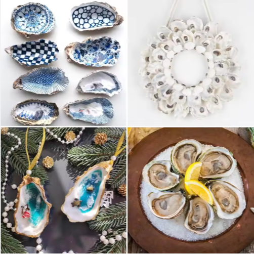 30pcs Oyster Shells With Pearl Bulk Natural Oyster Shells For Crafts