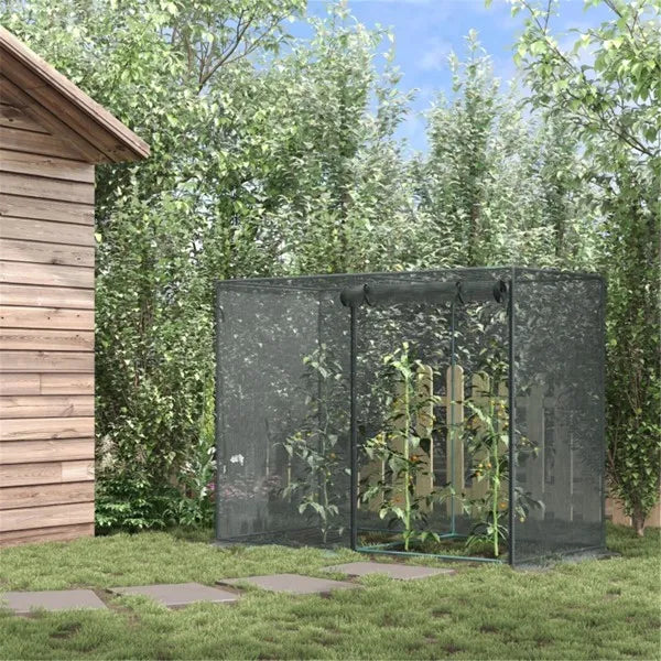 Walk-in Mini Greenhouse