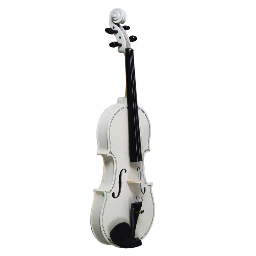 4/4 Acoustic Violin Case Bow Rosin Sky Blue