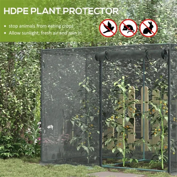 Walk-in Mini Greenhouse