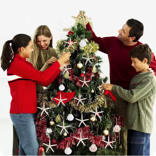 20 PCS Christmas Starfish Hanging Ornaments 3-4'' Natural Starfish