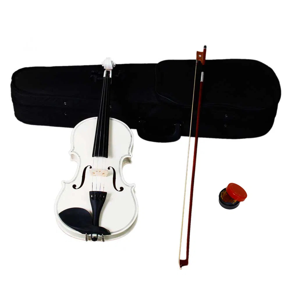 4/4 Acoustic Violin Case Bow Rosin Sky Blue