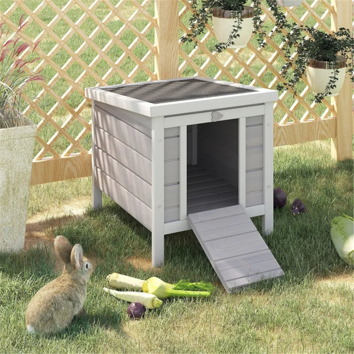 Pet/dog House/rabbit Hutch/duck House