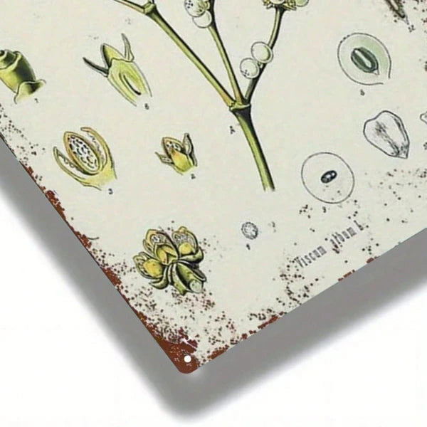 Mistletoe Plant Vintage Metal Tin Sign 2D Flat 1pc 8x12 Inch Classic