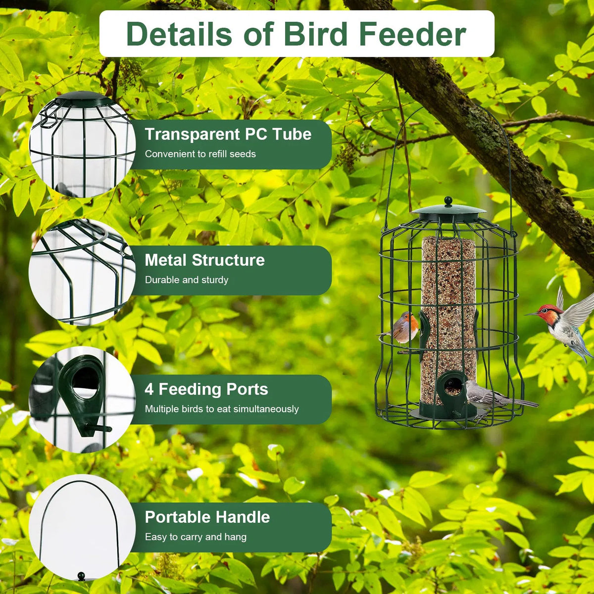Wild Bird Feeder Gift For Bird Lovers, 4 Ports Multi-bird Simultaneous