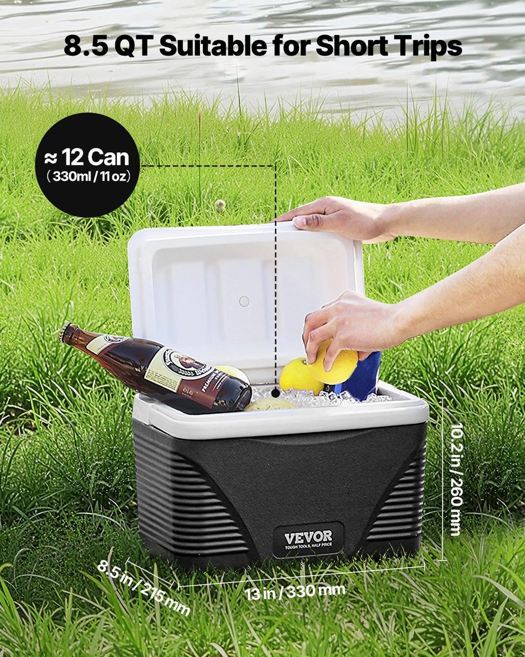 Portable Cooler 8.5 QT Insulated Hard Cooler 12 Can Capacity